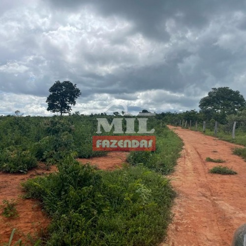 Fazenda Dupla Aptidão em Uruaçu-GO. (44 Alqueires)