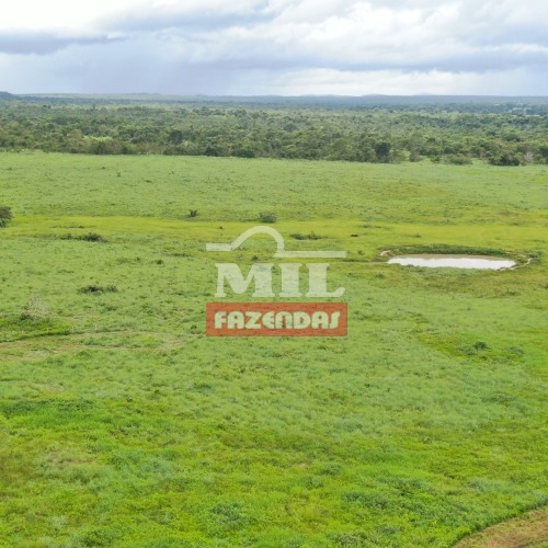 Fazenda de 78 alqueires (375 hectares) em Aliança do Tocantins TO